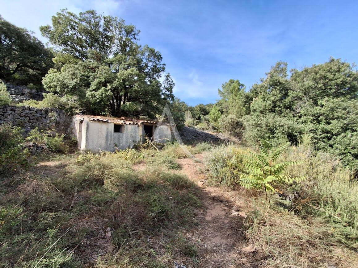 Photo A BEDARIEUX TERRAIN DE LOISIRS AVEC MAZETS image 4/6