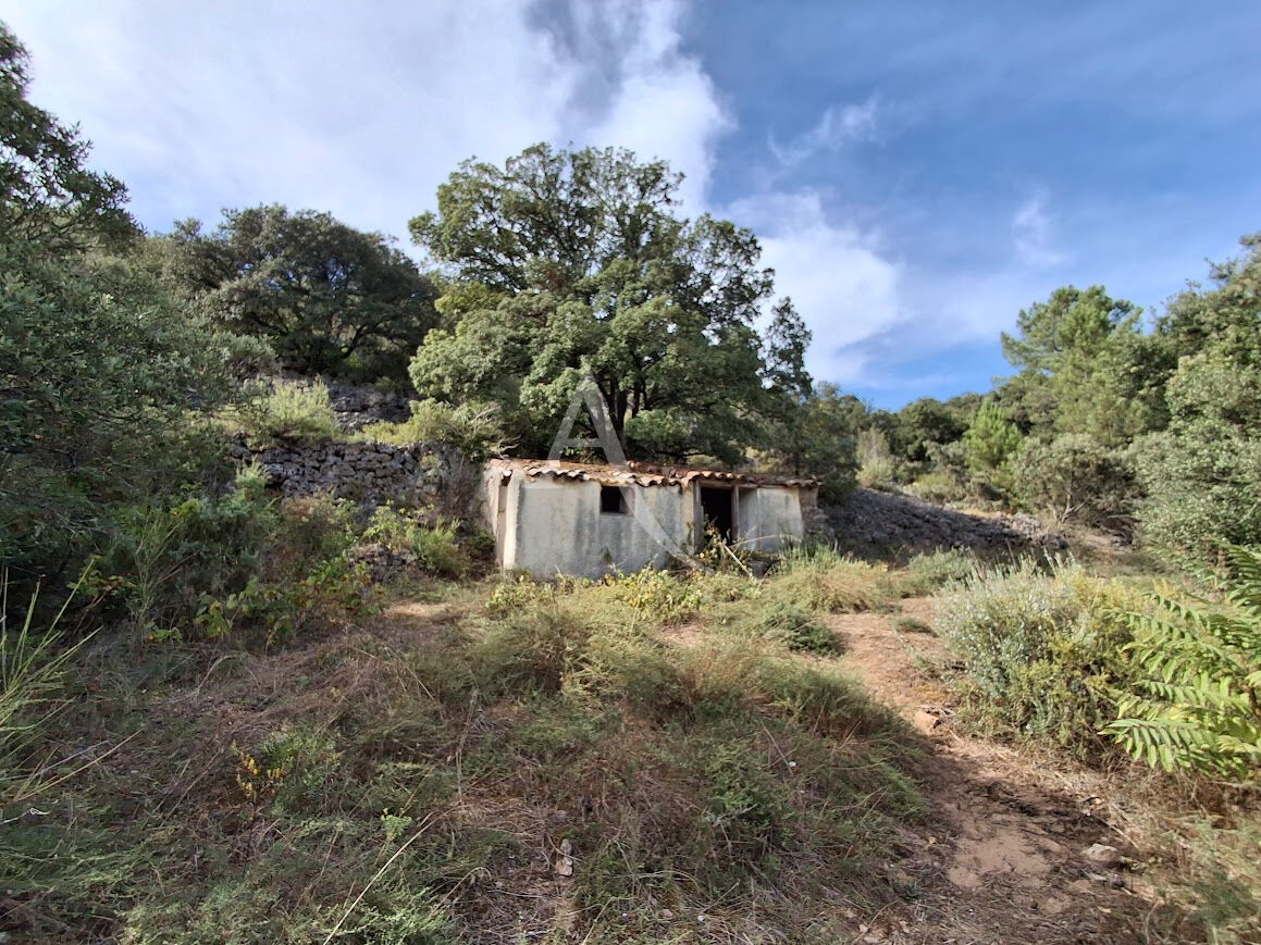 Photo A BEDARIEUX TERRAIN DE LOISIRS AVEC MAZETS image 6/6