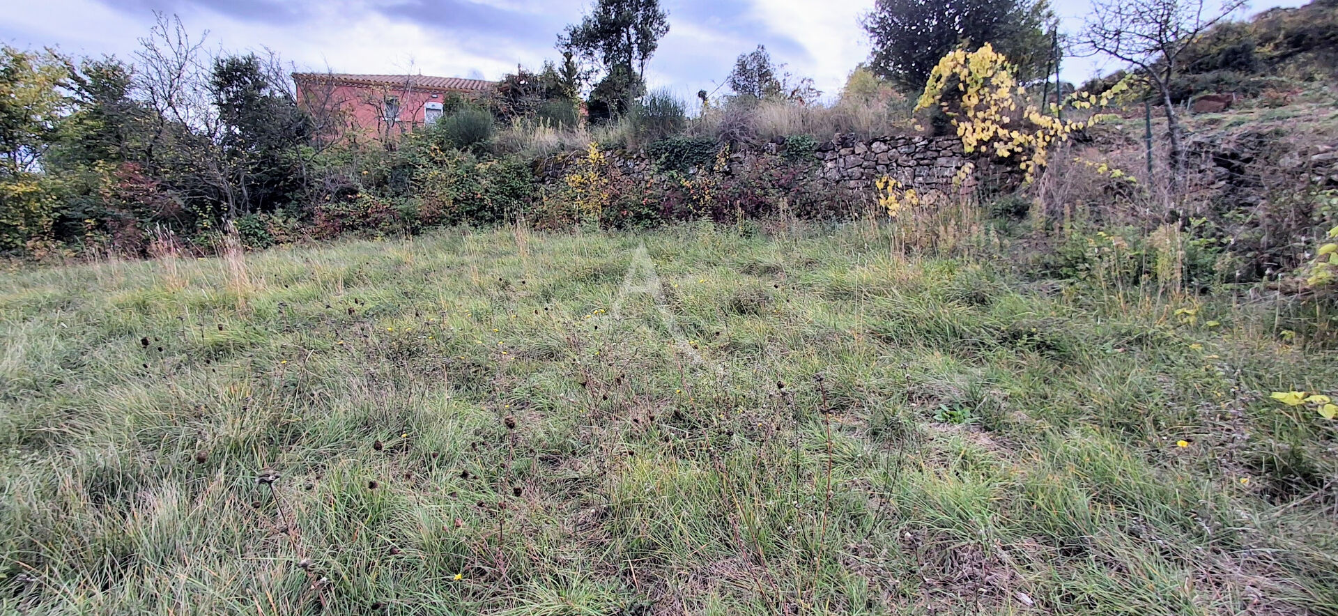 Photo Terrain constructible 1096 m2 LE PRADAL (10 minutes d'HEREPIAN) image 2/3