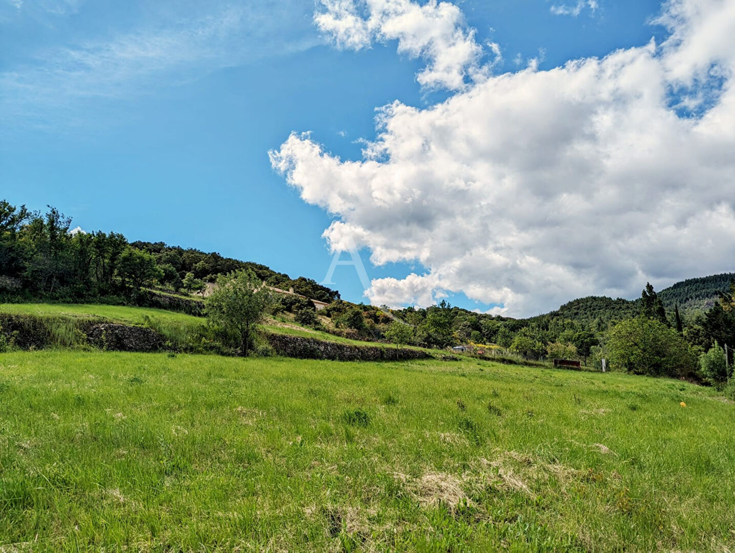 Photo Terrain constructible 1646 m2 LE PRADAL (10 minutes d'HEREPIAN) image 2/3