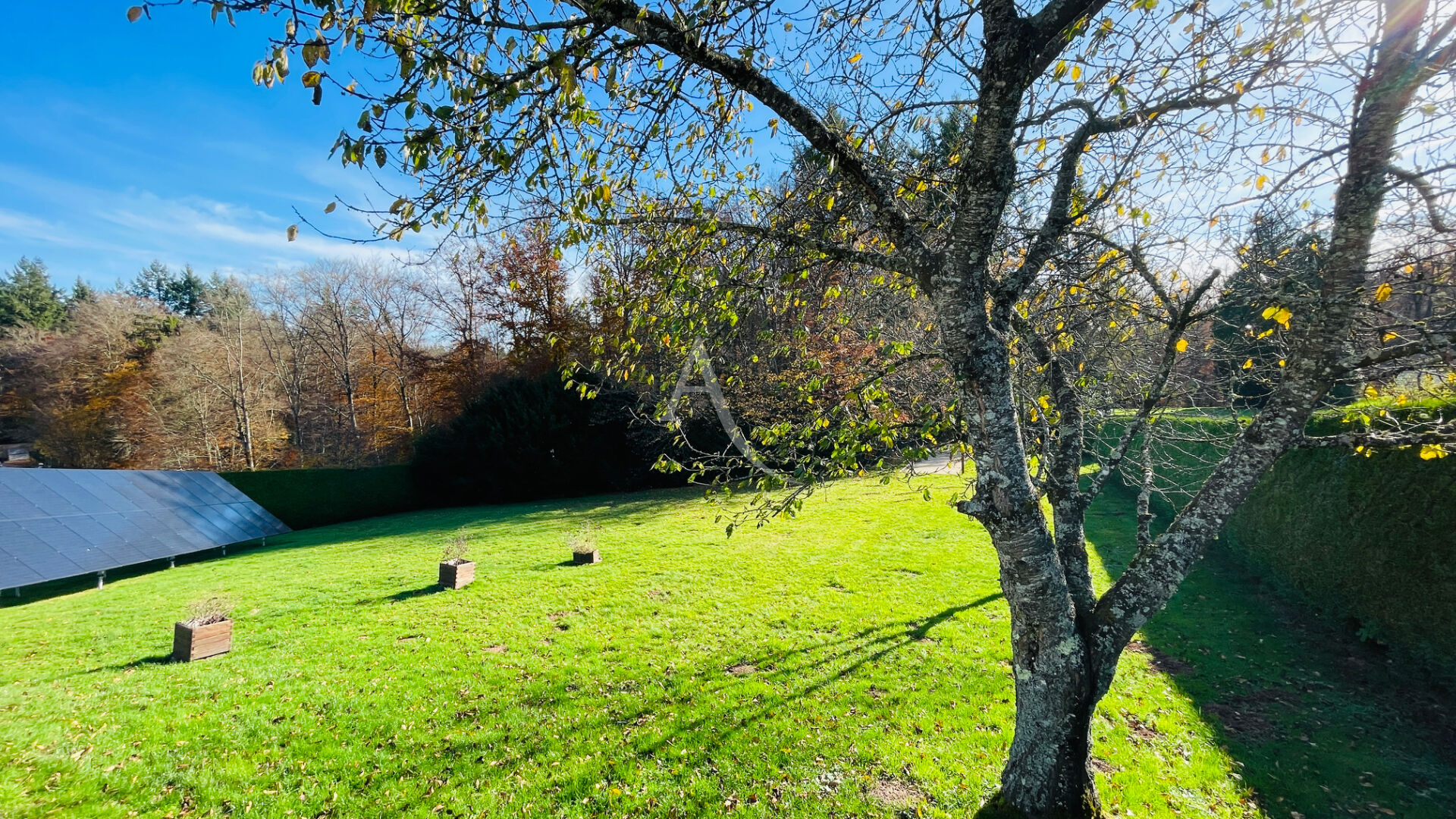 Photo Villa Chantraine avec piscine et bord de forêt image 2/6
