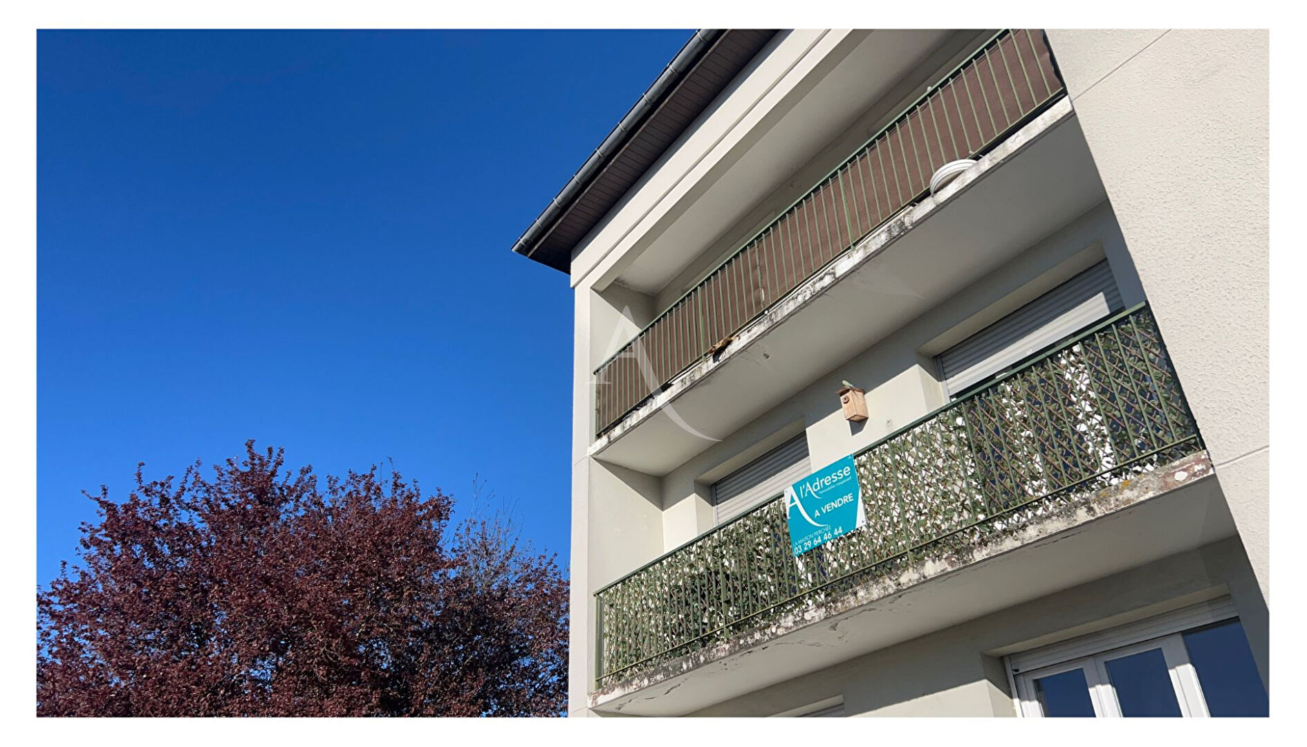 Agence immobilière de L'Adresse PARADIS IMMOBILIER - PARADIS IMMOBILIER