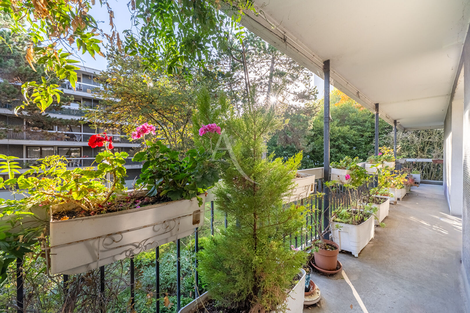 Photo APPARTEMENT TROIS CHAMBRES GRANDE TERRASSE ! image 1/6