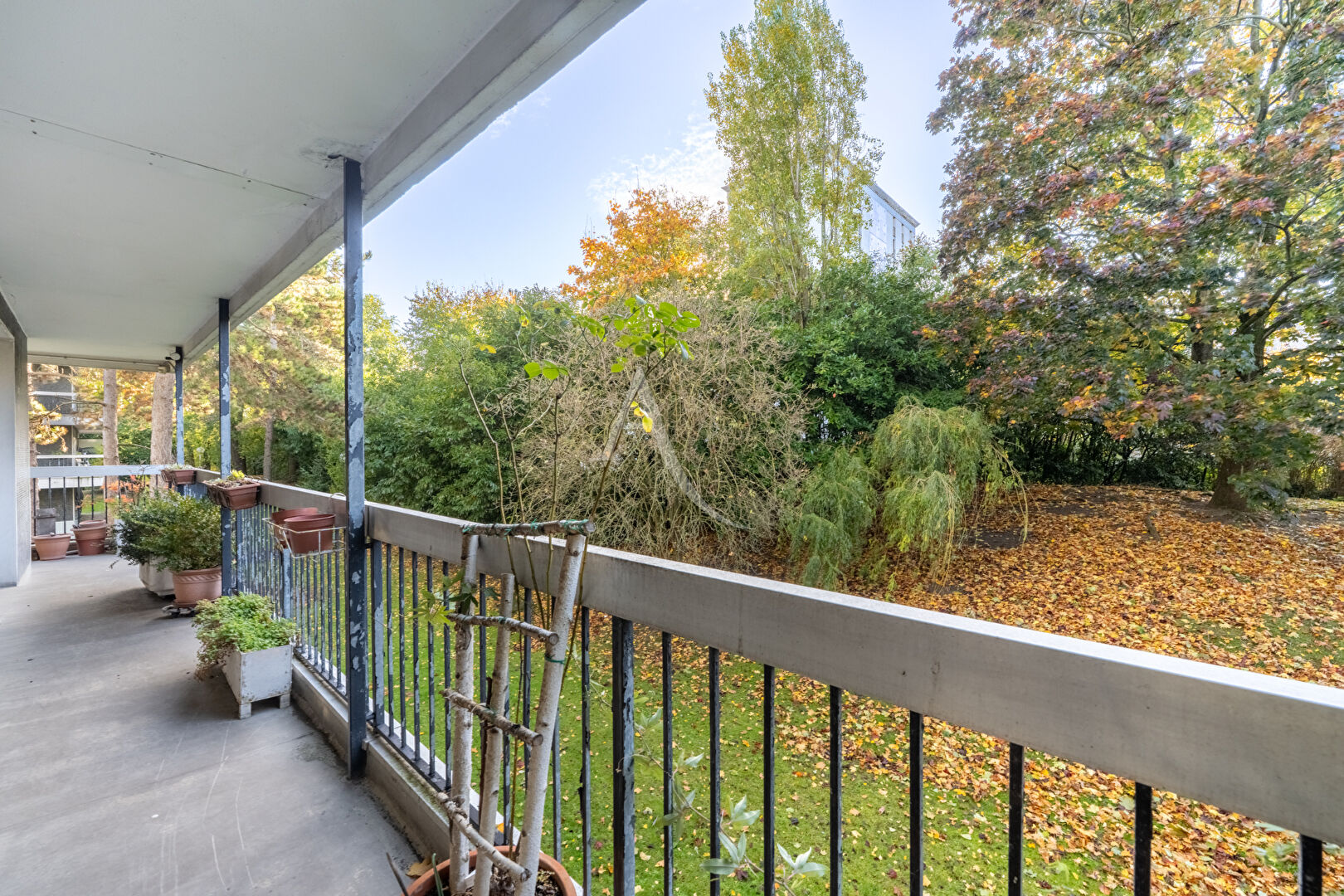 Photo APPARTEMENT TROIS CHAMBRES GRANDE TERRASSE ! image 2/6