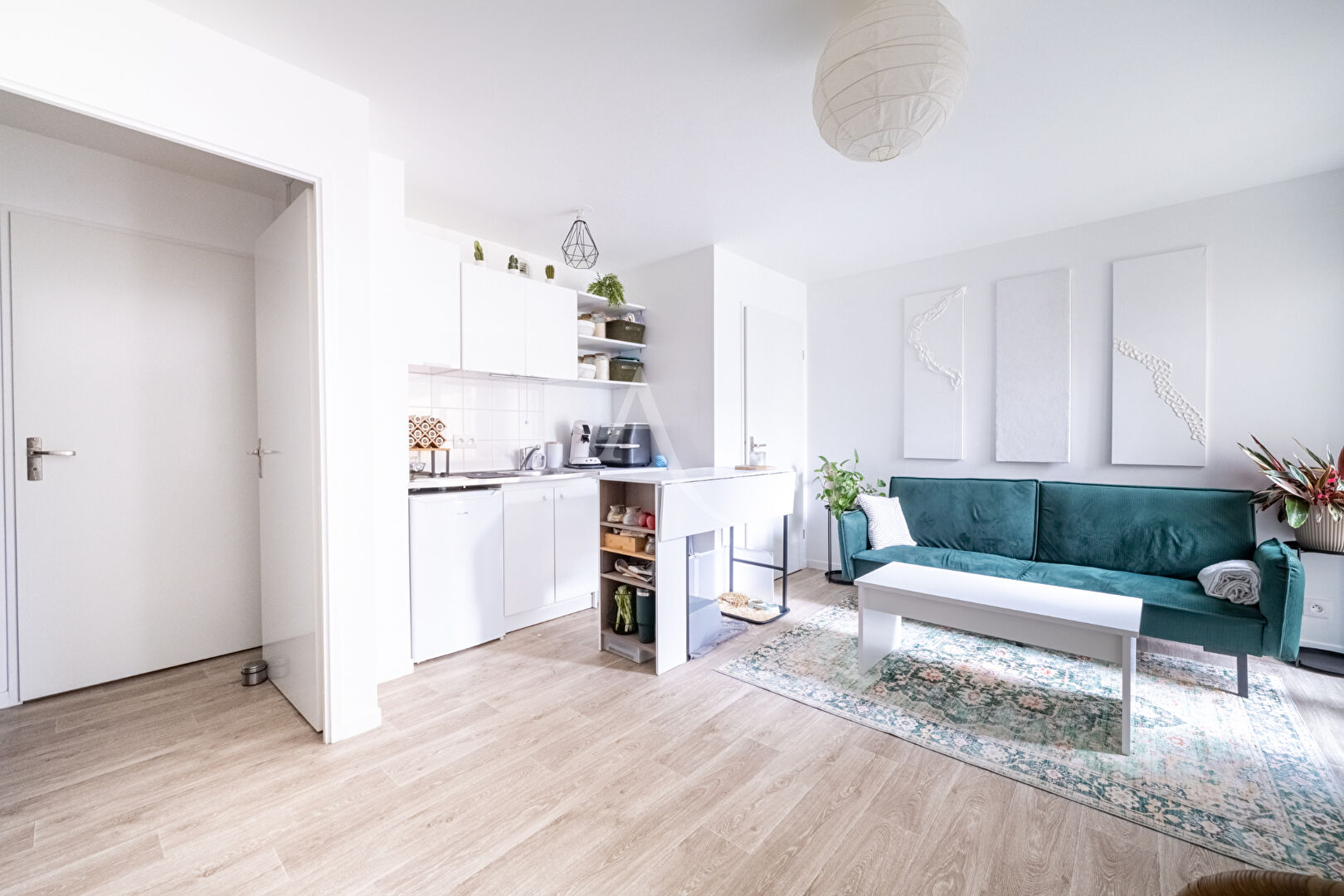 Photo MAGNIFIQUE STUDIO AVEC COIN NUIT ! image 3/6