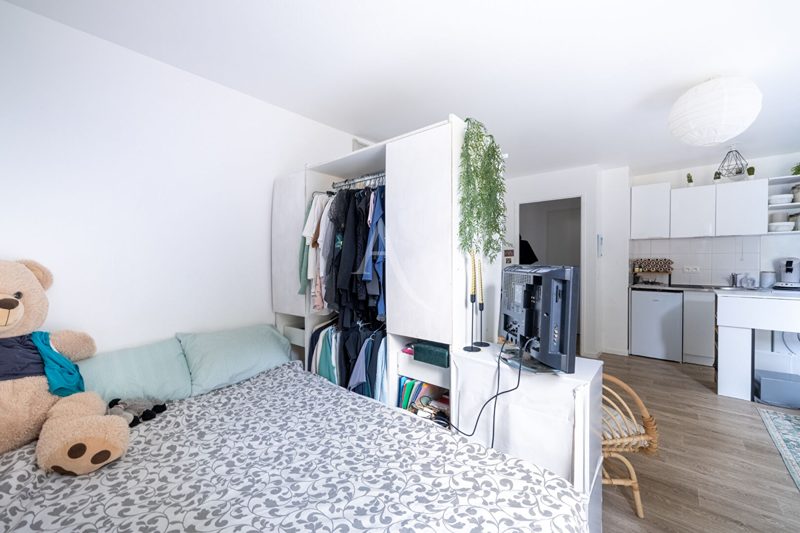 Photo MAGNIFIQUE STUDIO AVEC COIN NUIT ! image 4/6