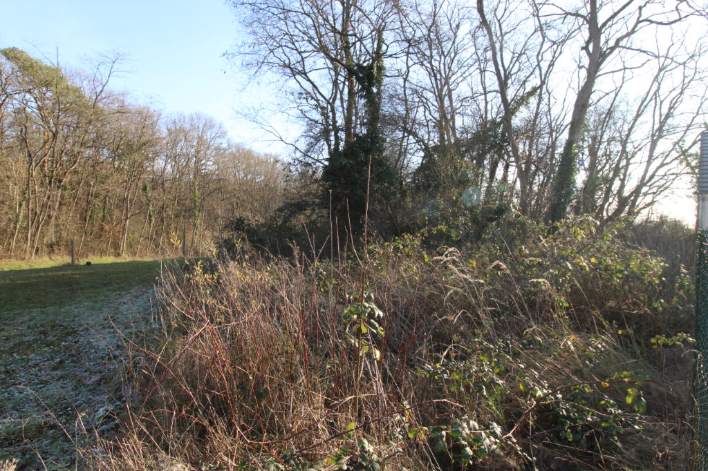 Photo LES MONTILS image 3/5