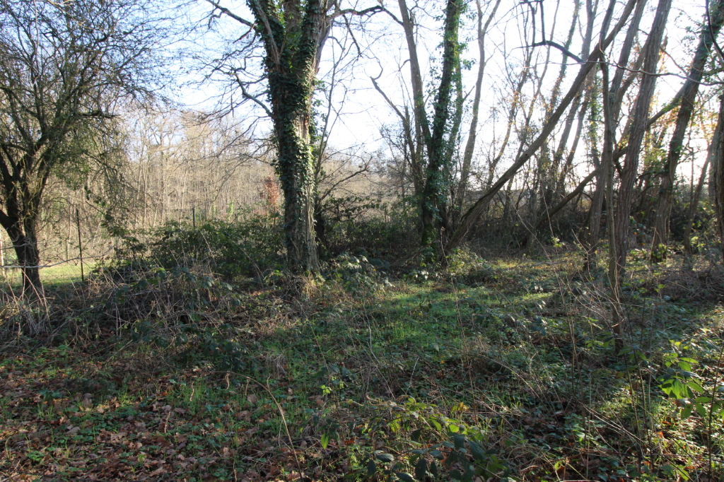 Photo LES MONTILS image 4/5