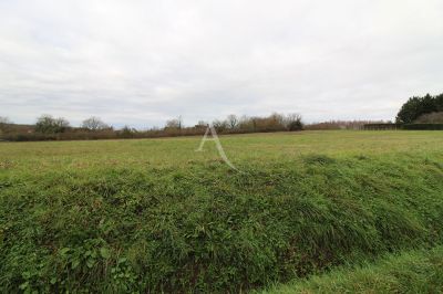 Agence immobilière de 
 L'Adresse  CABINET PAUTOUT - L'ADRESSE LA VALLÉE DU CHER - BLÉRÉ 
