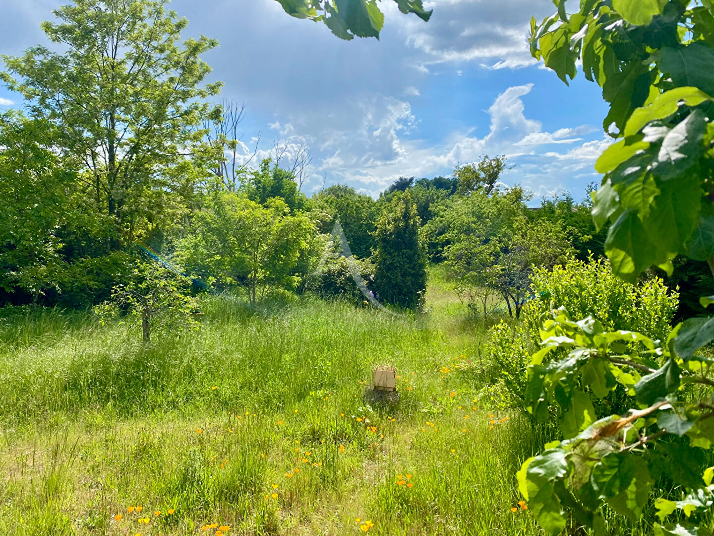 Photo Maison  Contres - Proche bourg image 4/6