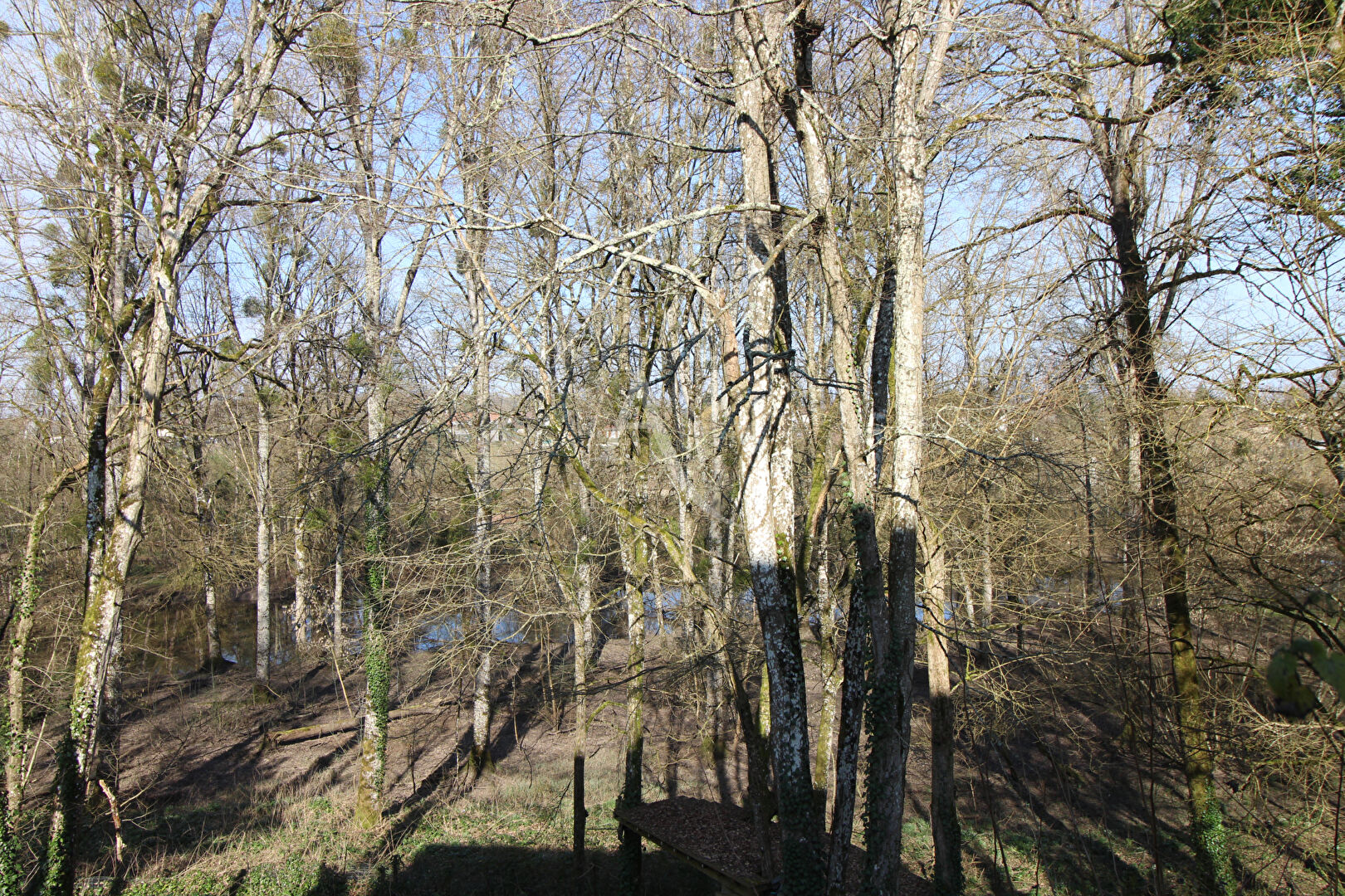 Photo VINEUIL image 4/6