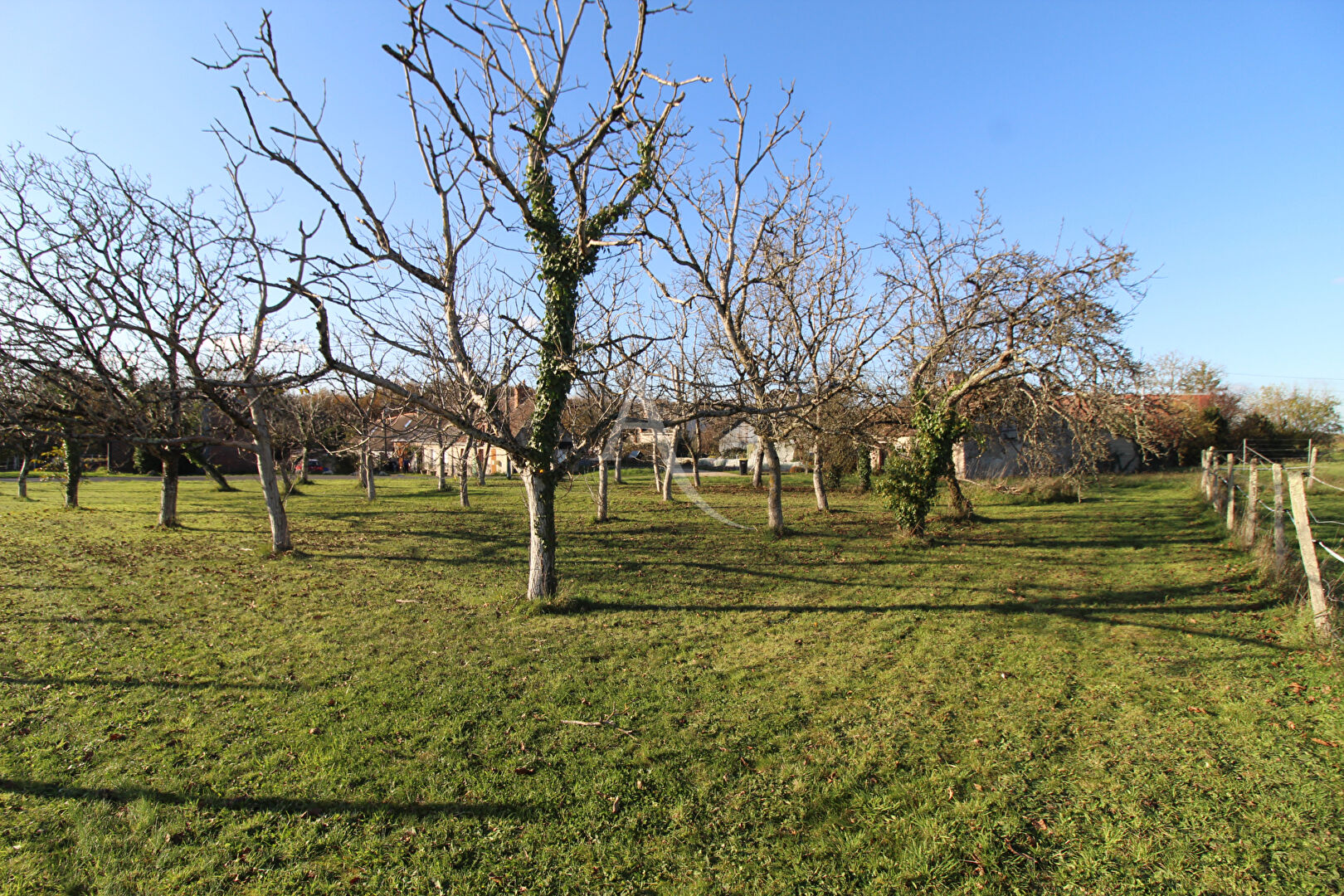 MONTEAUX - 25 KM DE BLOIS -15 KM D'AMBOISE
