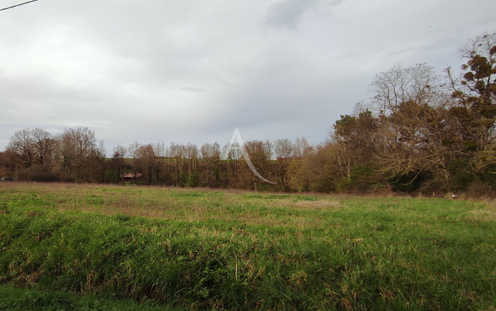 Agence immobilière de l'Adresse Saint-Aignan