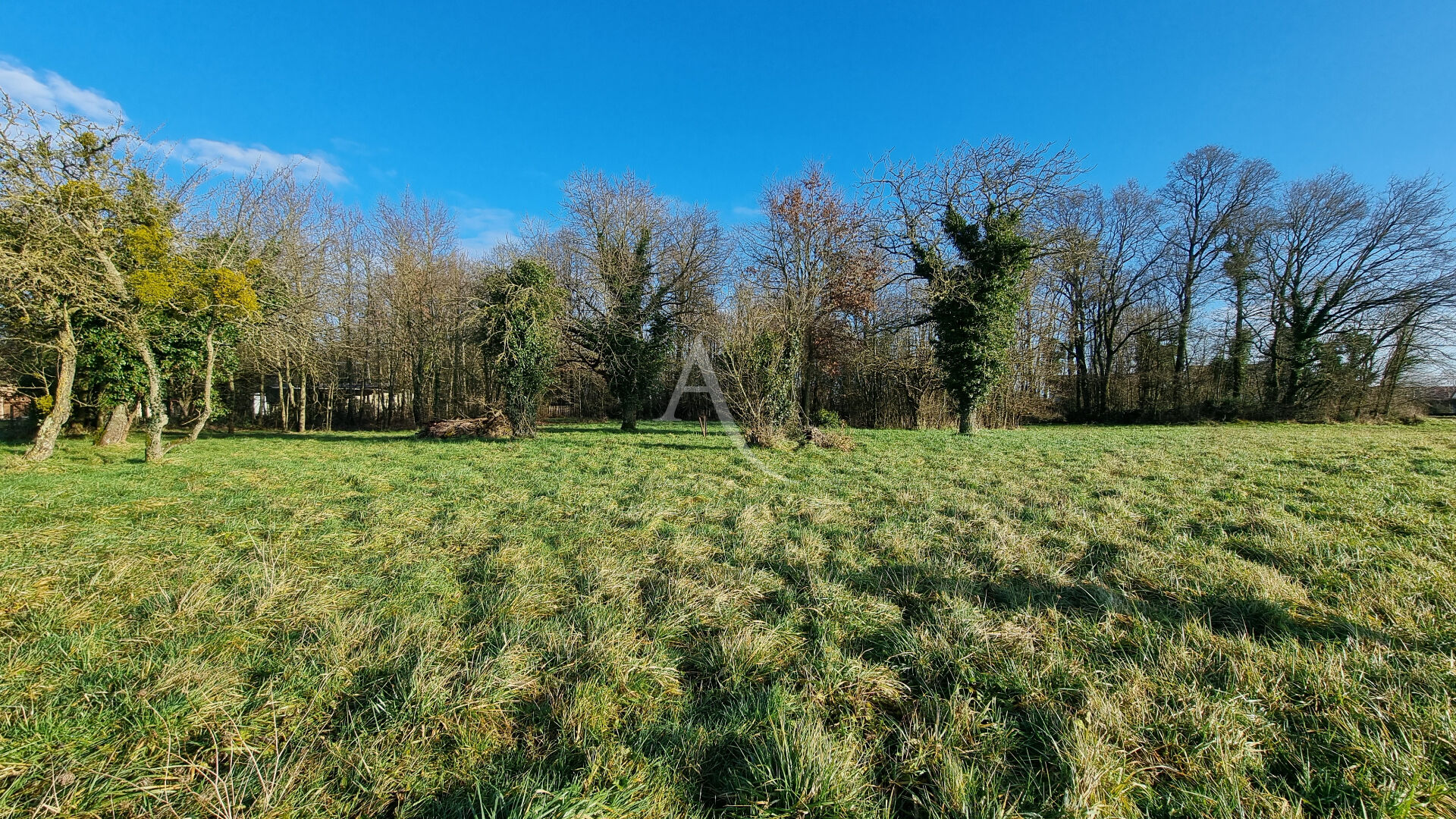 Agence immobilière de l'Adresse Saint-Aignan