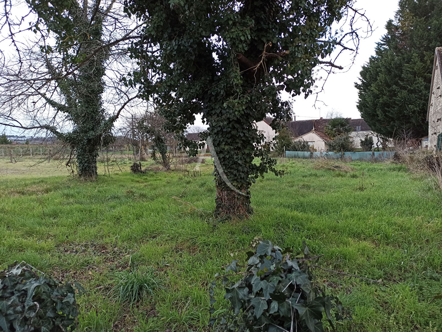 Photo A NOYERS SUR CHER Terrain à vendre de 3116 m2 image 2/4