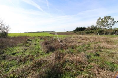 Agence immobilière de 
 L'Adresse  CABINET PAUTOUT - L'ADRESSE LA VALLÉE DU CHER - BLÉRÉ 
