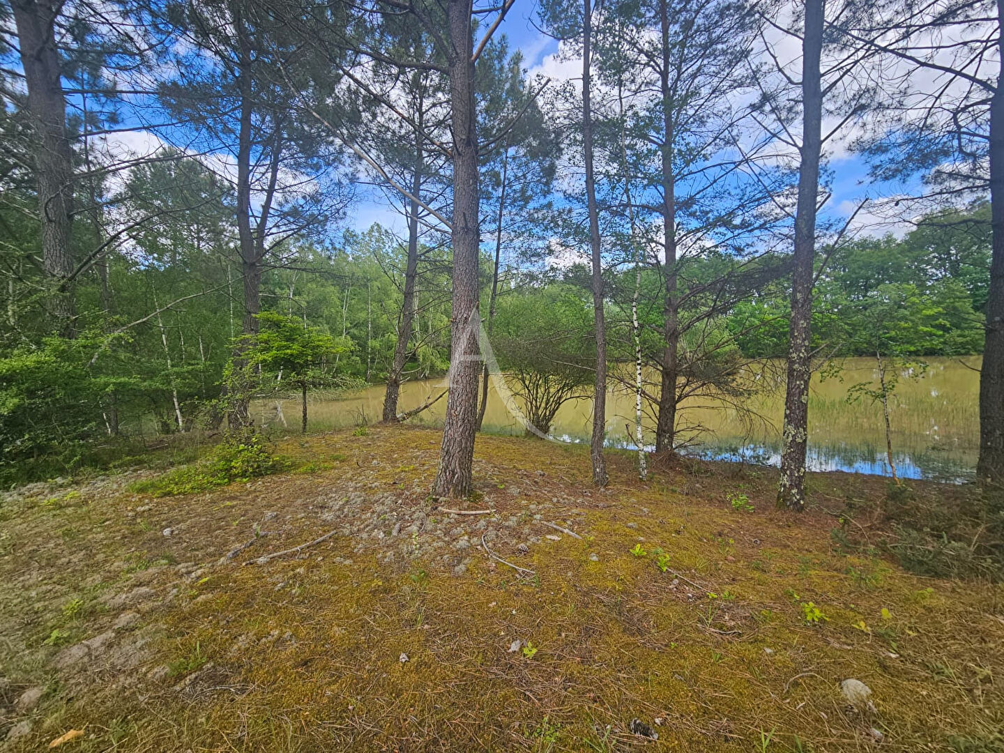 Superbe Étang de 5 000 m2 sur une parcelle de 2 ha de terres et de bois !