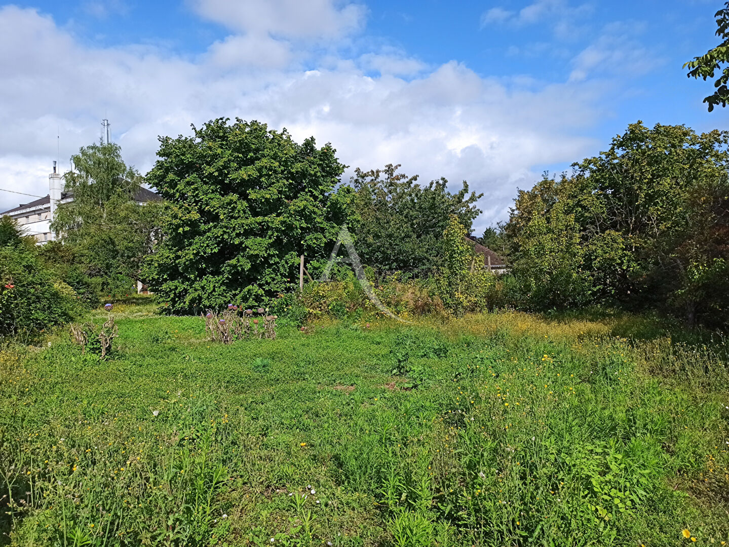 Photo Terrain Saint Aignan 2163 m2 image 4/6