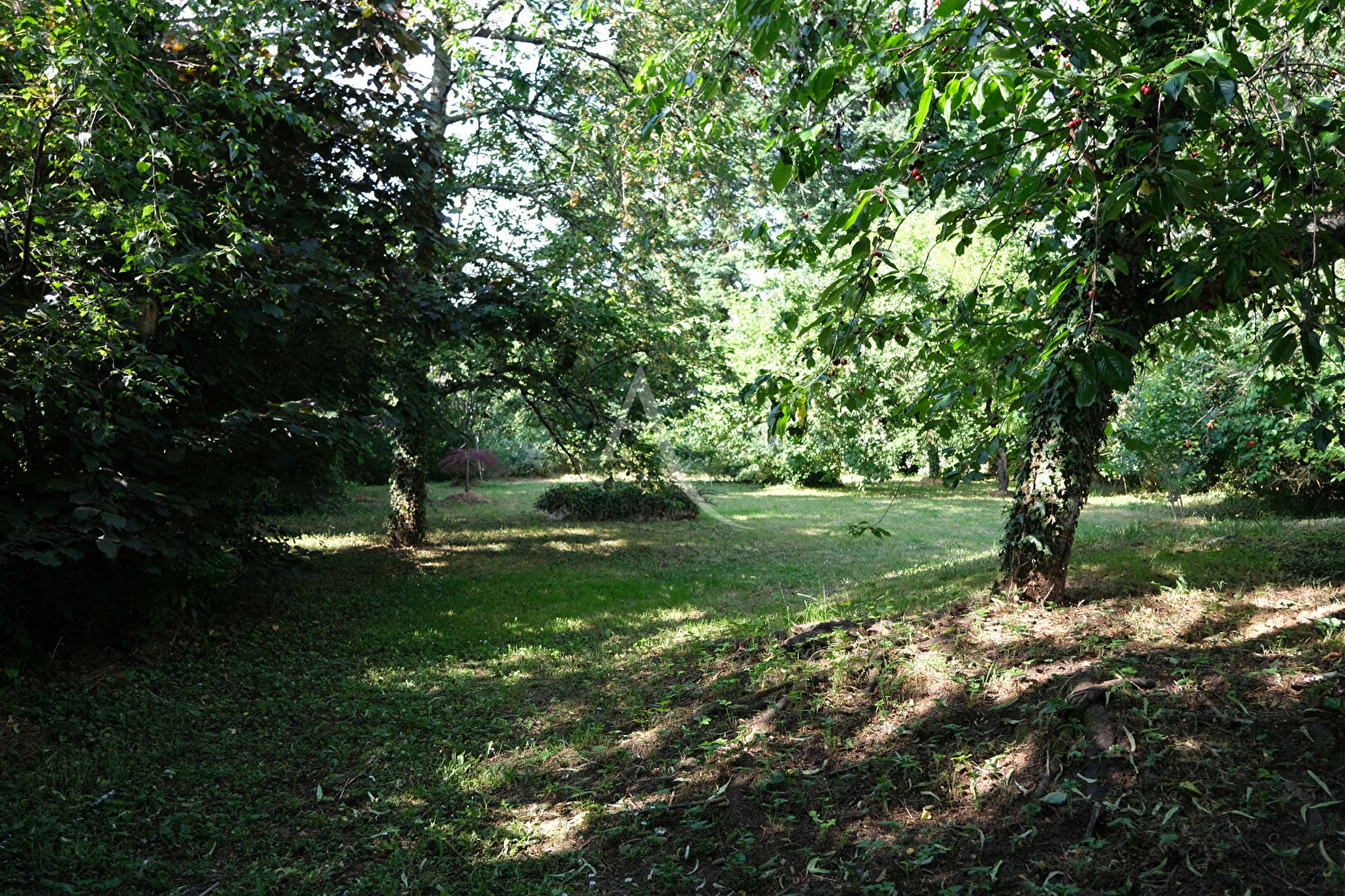 Photo EXCLUSIVITÉ SORTIE VINEUIL image 4/6