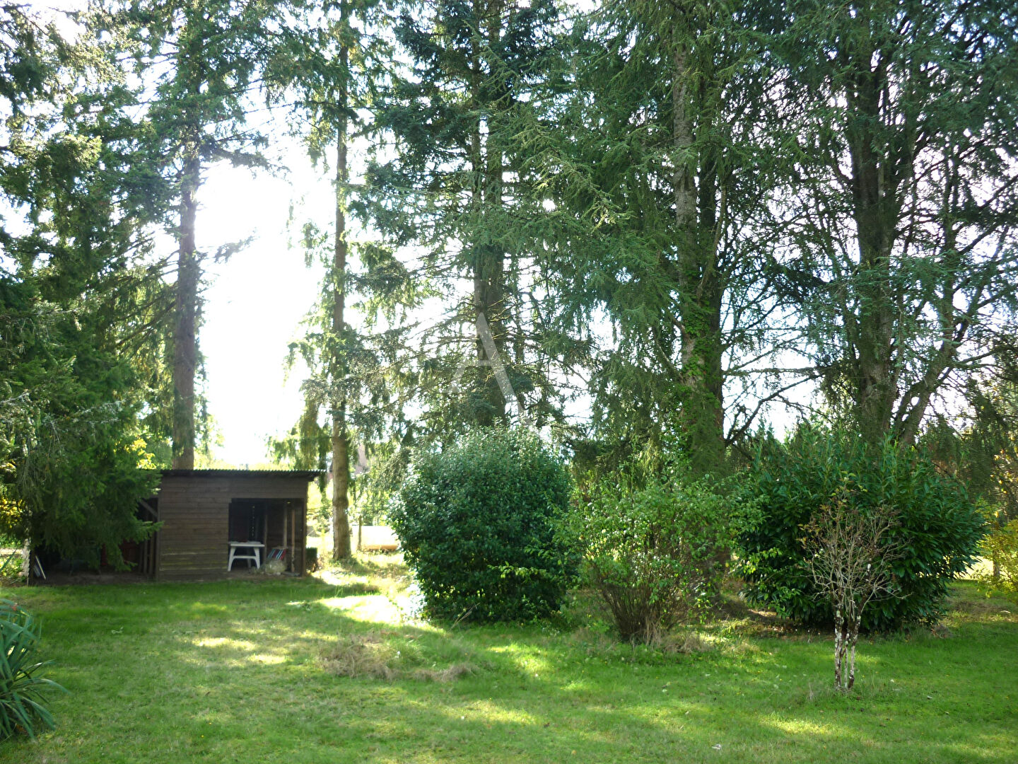 Photo Terrain Vouzon 1469 m2 image 2/4