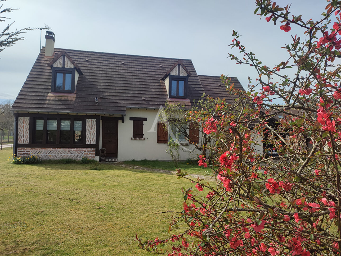 Agence immobilière de L'Adresse LAMOTTE BEUVRON