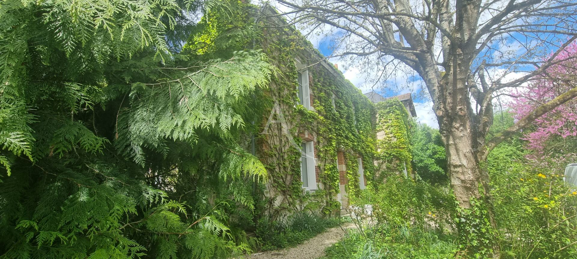 Agence immobilière de L'Adresse  CABINET PAUTOUT - L'ADRESSE CABINET PAUTOUT - Blois