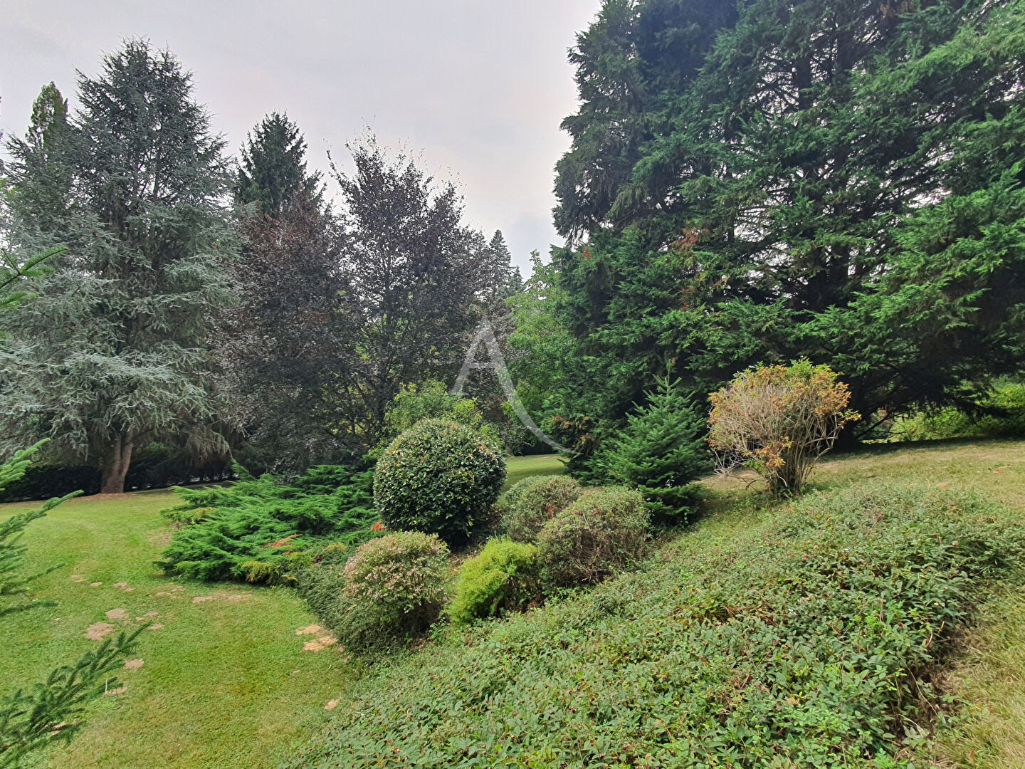 Photo PROPRIÉTÉ À VENDRE À MAREUIL SUR CHER image 4/6