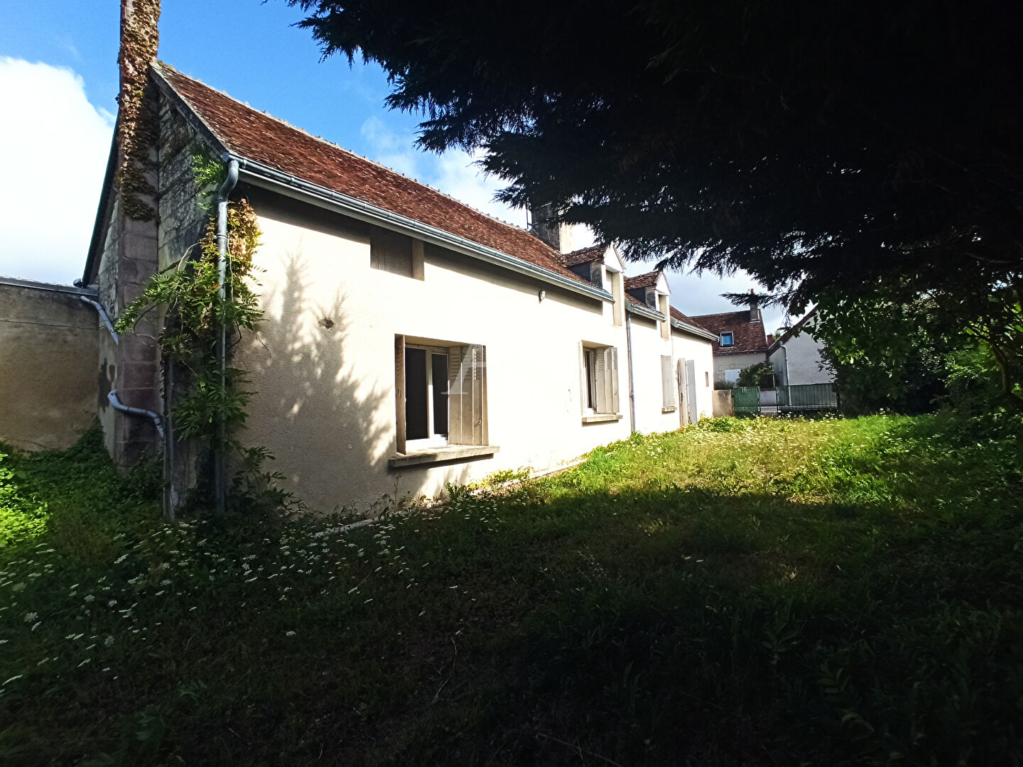 Photo MAISON À VENDRE À  NOYERS SUR CHER image 1/6