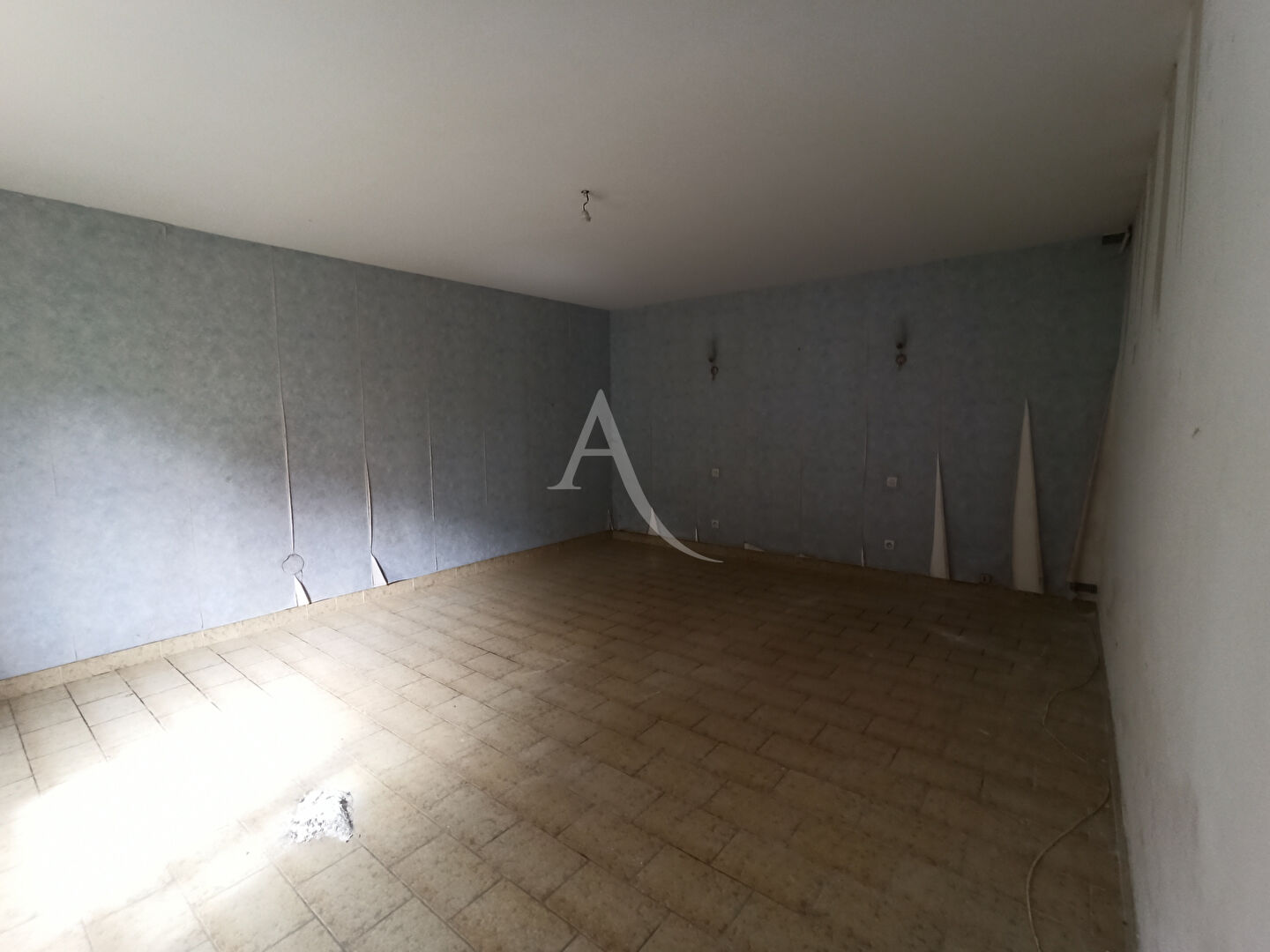 Photo MAISON À VENDRE À  NOYERS SUR CHER image 5/6