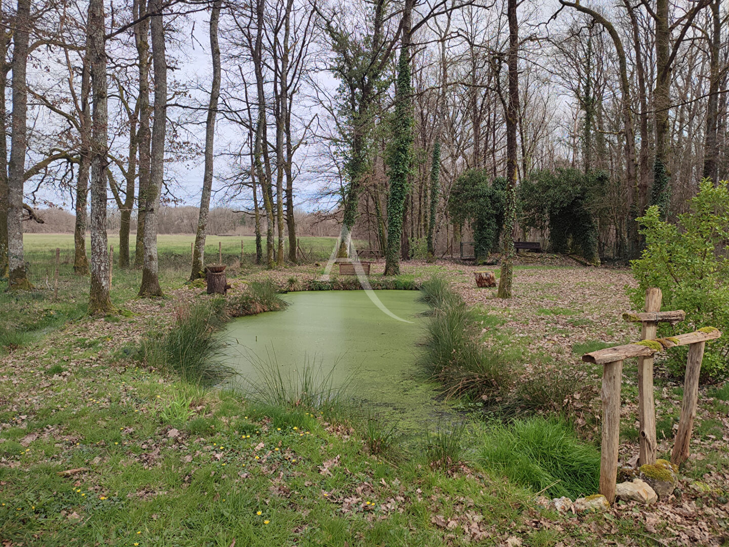 À vendre, terrain à Lamotte-Beuvron.