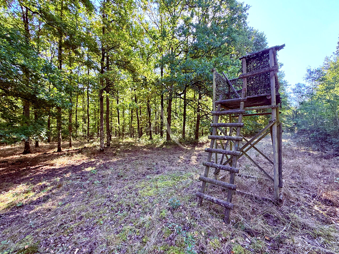 Agence immobilière de L'ADRESSE LA FERTE - L'ADRESSE LA FERTE