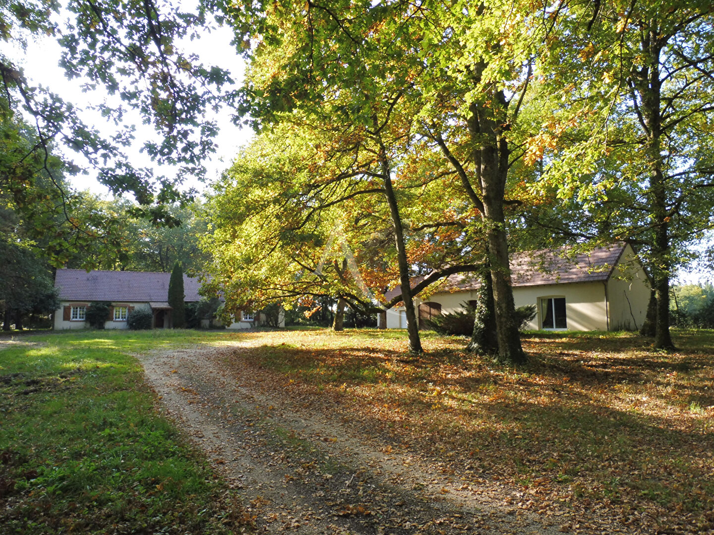 Photo PROPRIETE SOLOGNE 4 CHAMBRES image 2/6