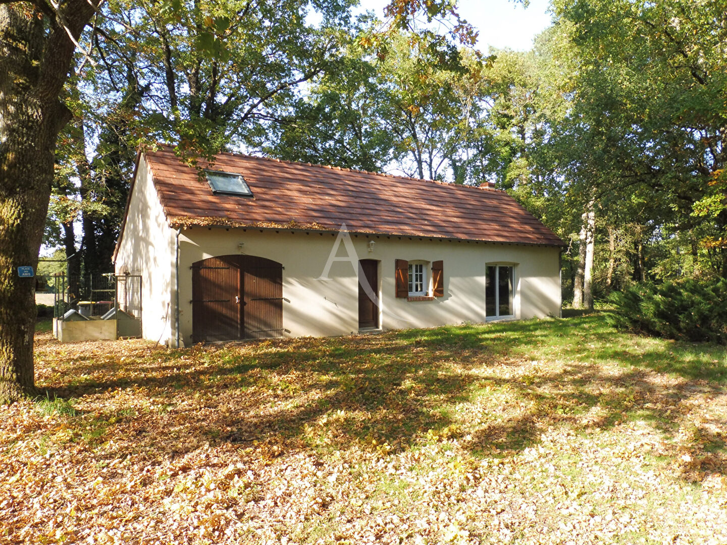 Photo PROPRIETE SOLOGNE 4 CHAMBRES image 4/6