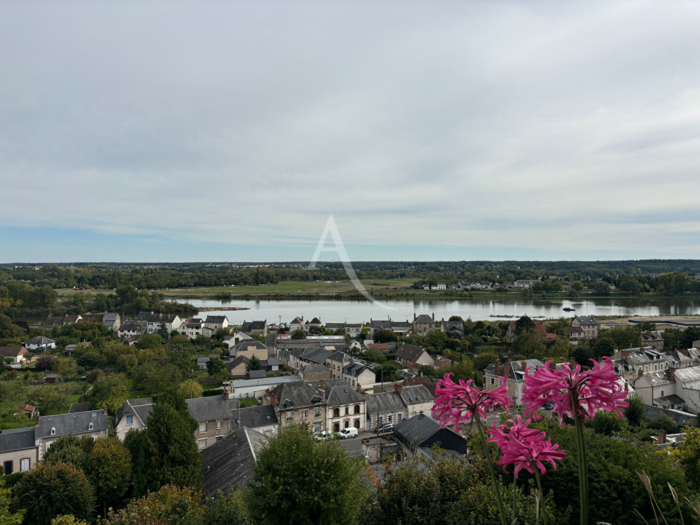 Appartement  quartier Basilique