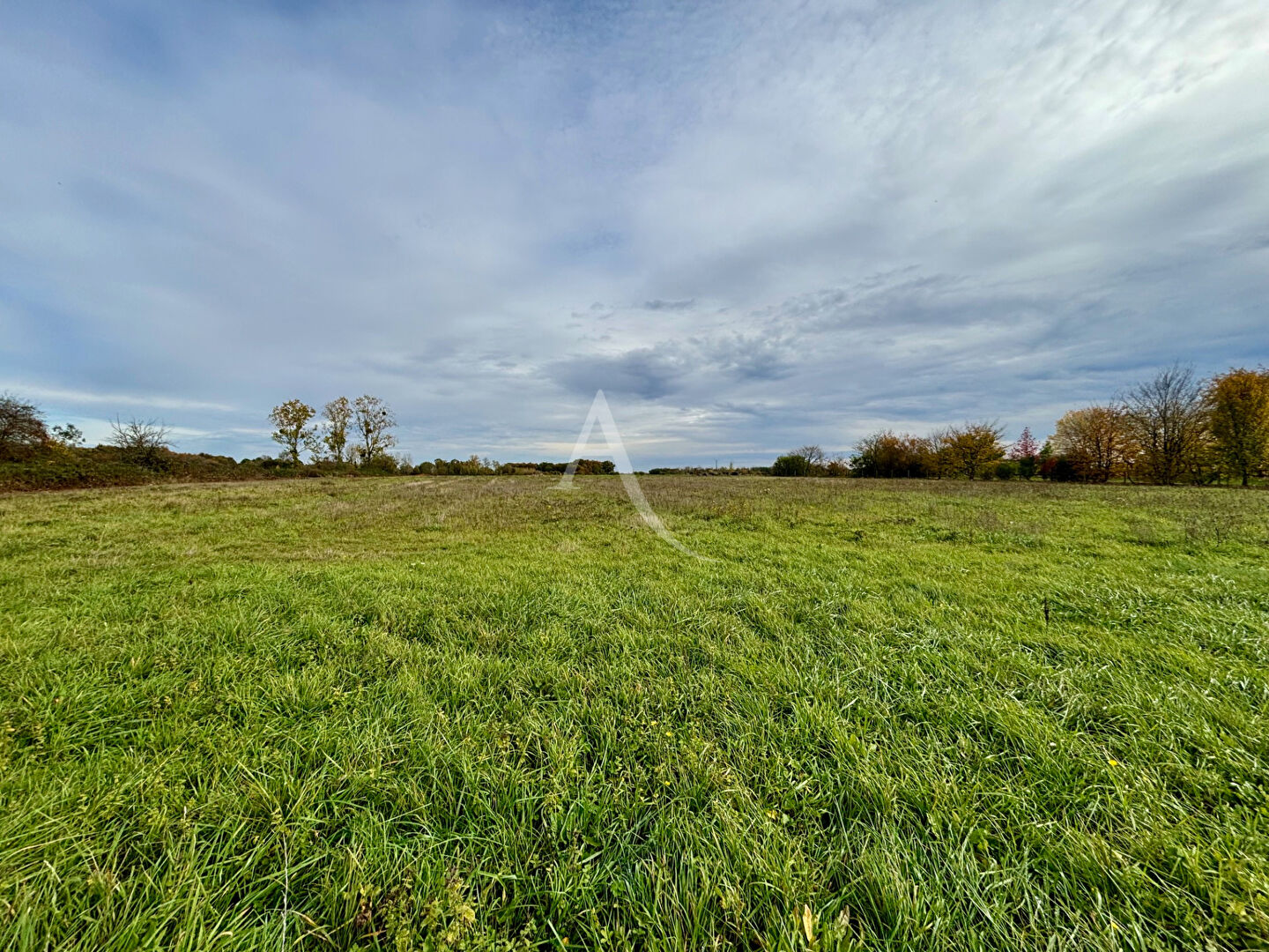 Terrain Soings En Sologne 6030 m2