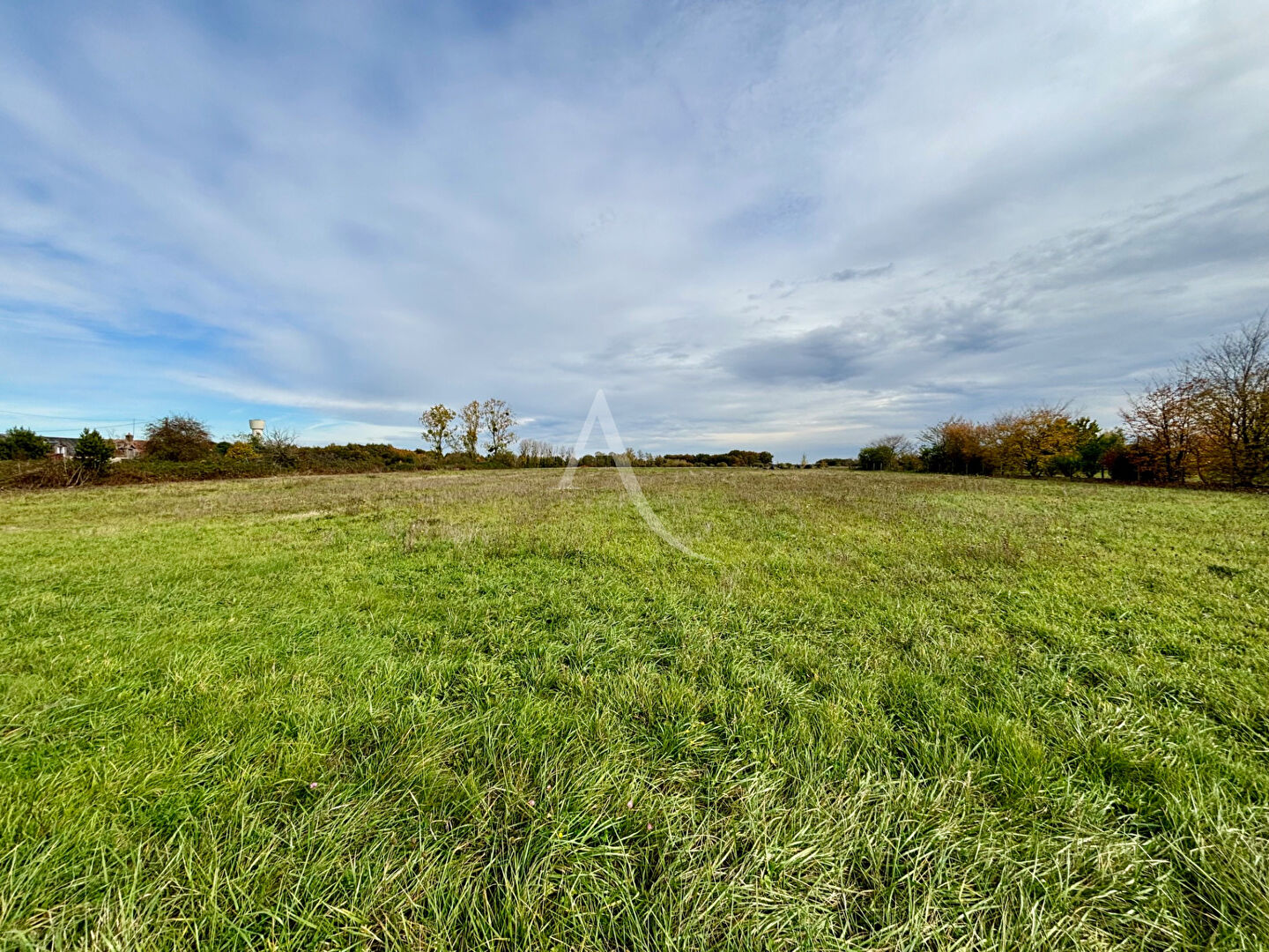 Photo Terrain Soings En Sologne 3000 m2 image 1/1