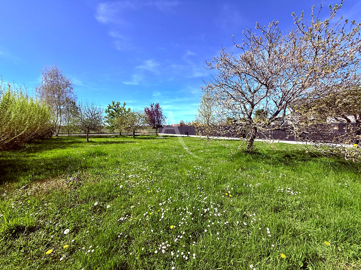 Agence immobilière de L'ADRESSE LA FERTE - L'ADRESSE LA FERTE