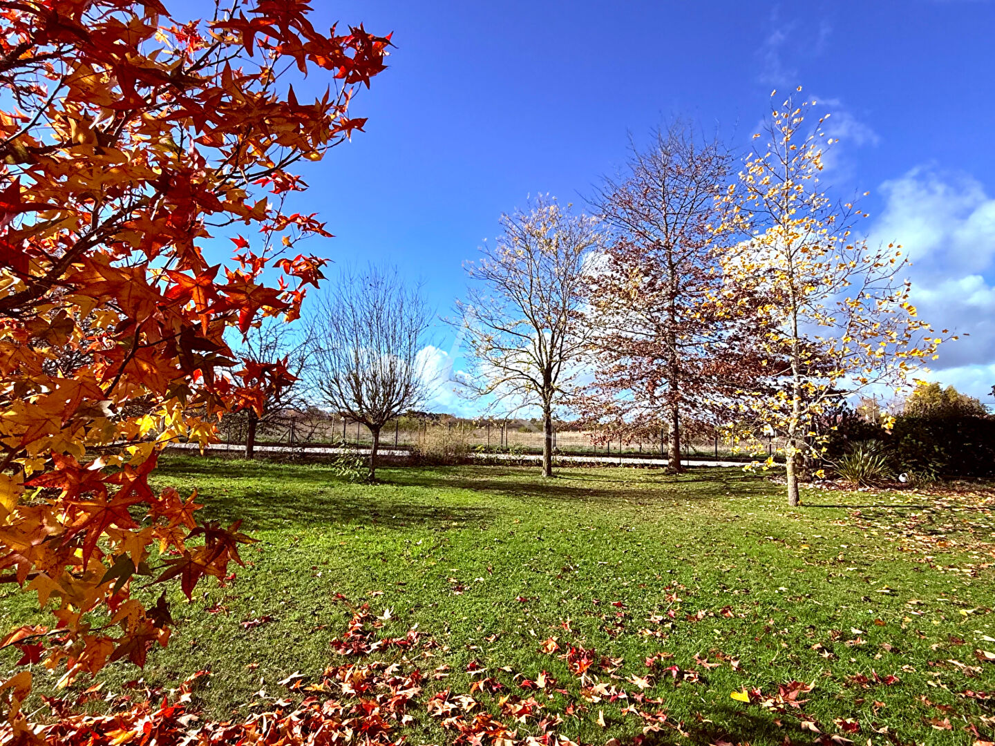 Superbe Terrain à bâtir à Saint Denis En Val !!!