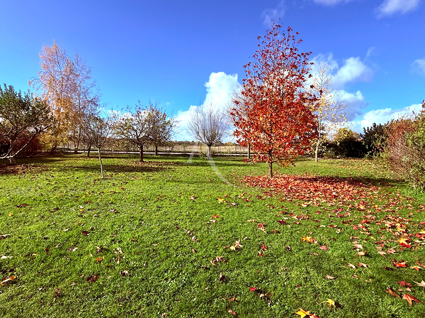 Photo Superbe Terrain à bâtir à Saint Denis En Val !!! image 2/3