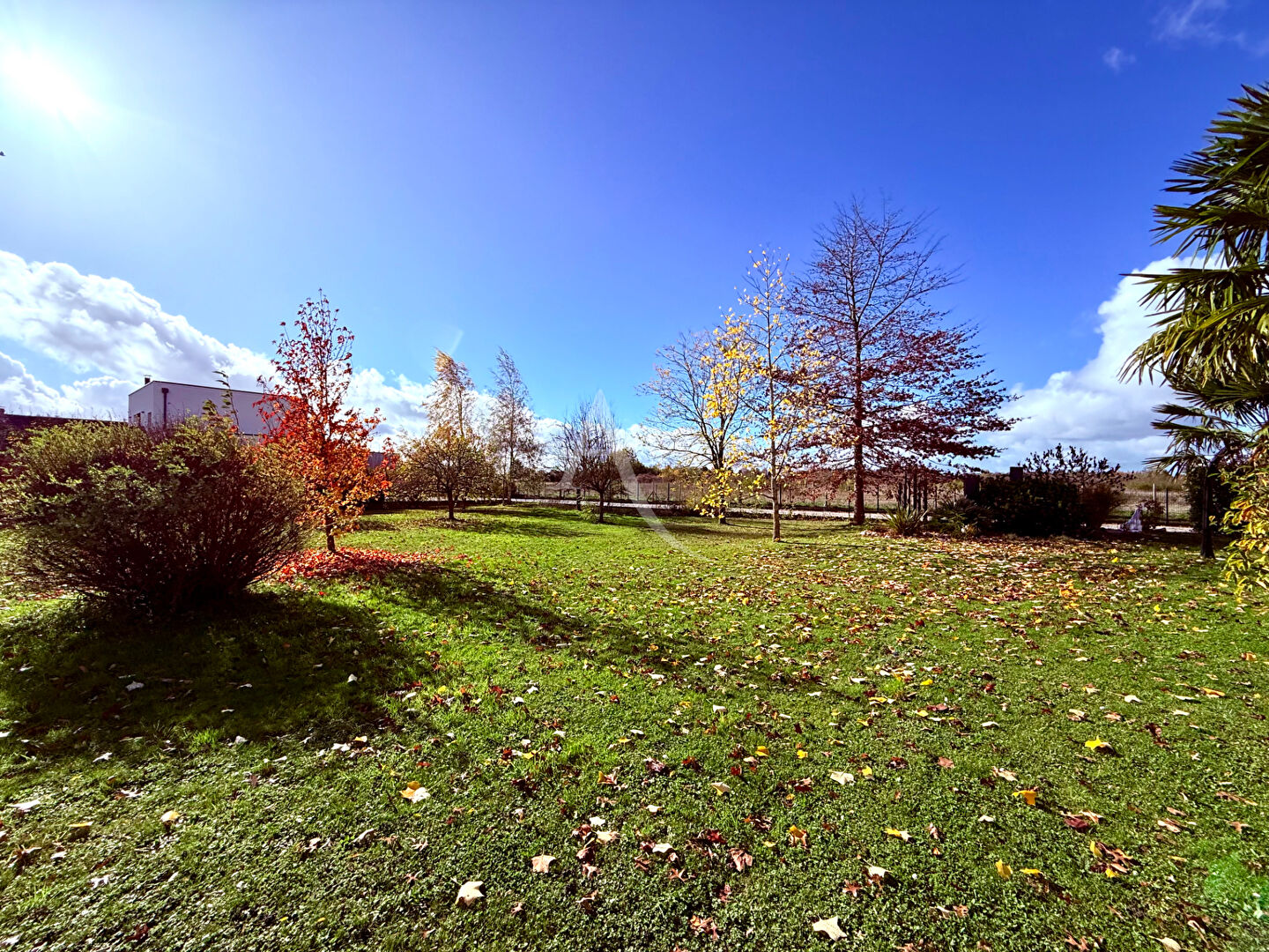 Photo Superbe Terrain à bâtir à Saint Denis En Val !!! image 3/3