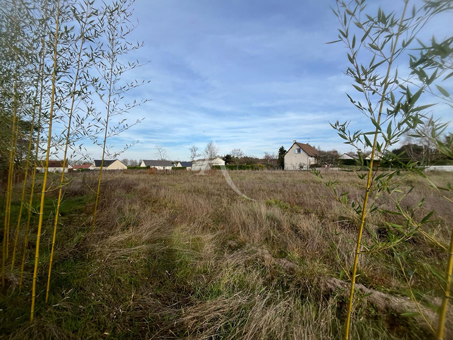 Photo EXCLUSIVITÉ - LES MONTILS image 6/6