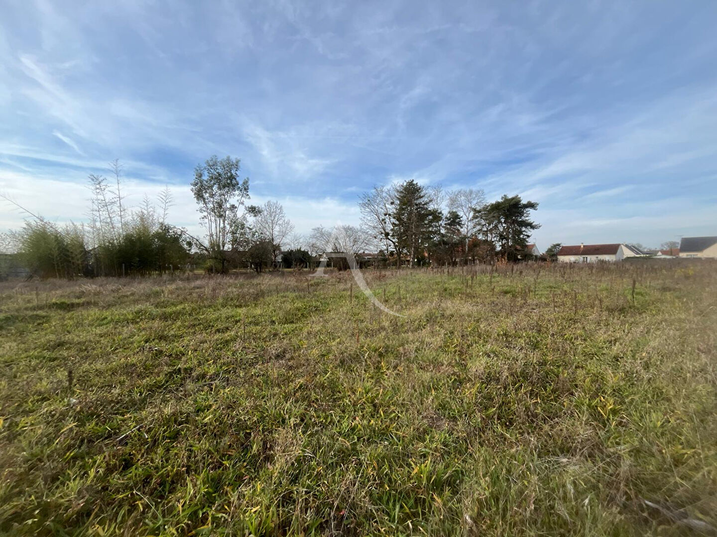 Photo EXCLUSIVITÉ - LES MONTILS image 5/6