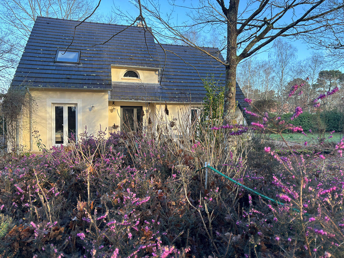 Agence immobilière de L'Adresse LAMOTTE BEUVRON
