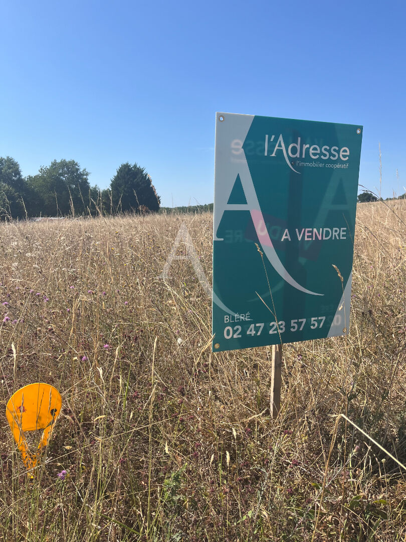 Agence immobilière de 
 L'Adresse  CABINET PAUTOUT - L'ADRESSE LA VALLÉE DU CHER - BLÉRÉ 
