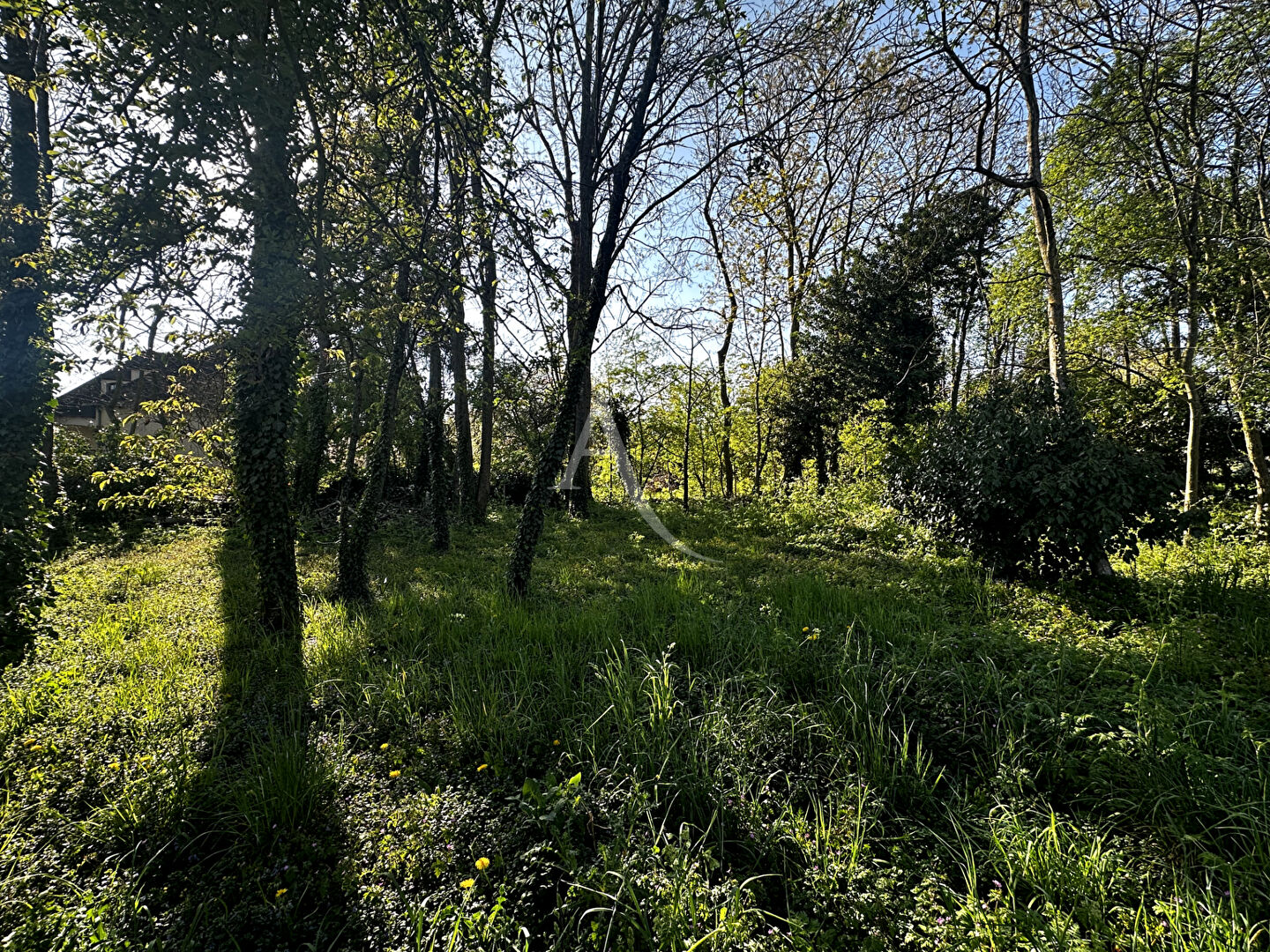 Photo Terrain à batir image 3/3