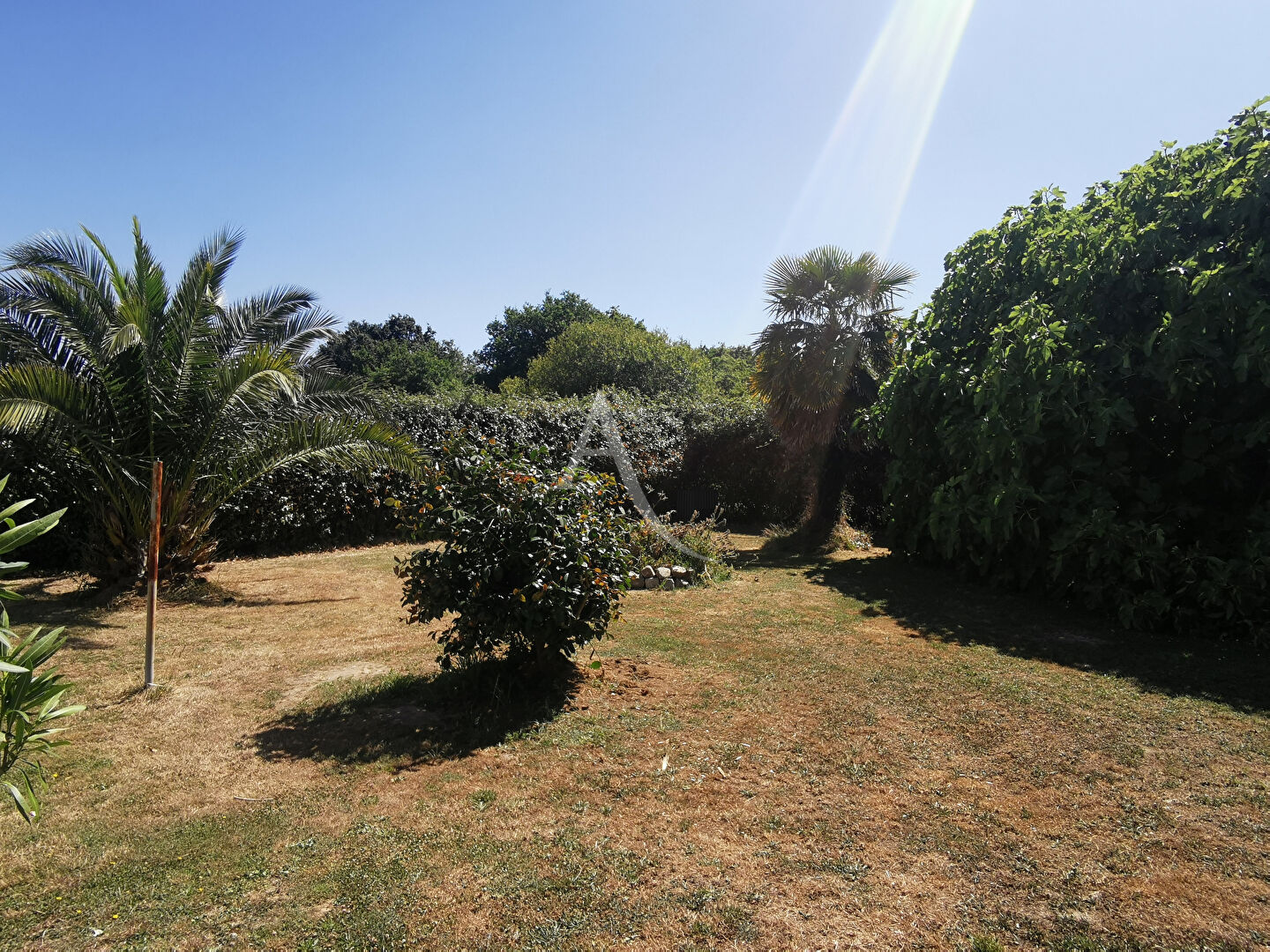 Photo Maison de plain-pied image 2/6