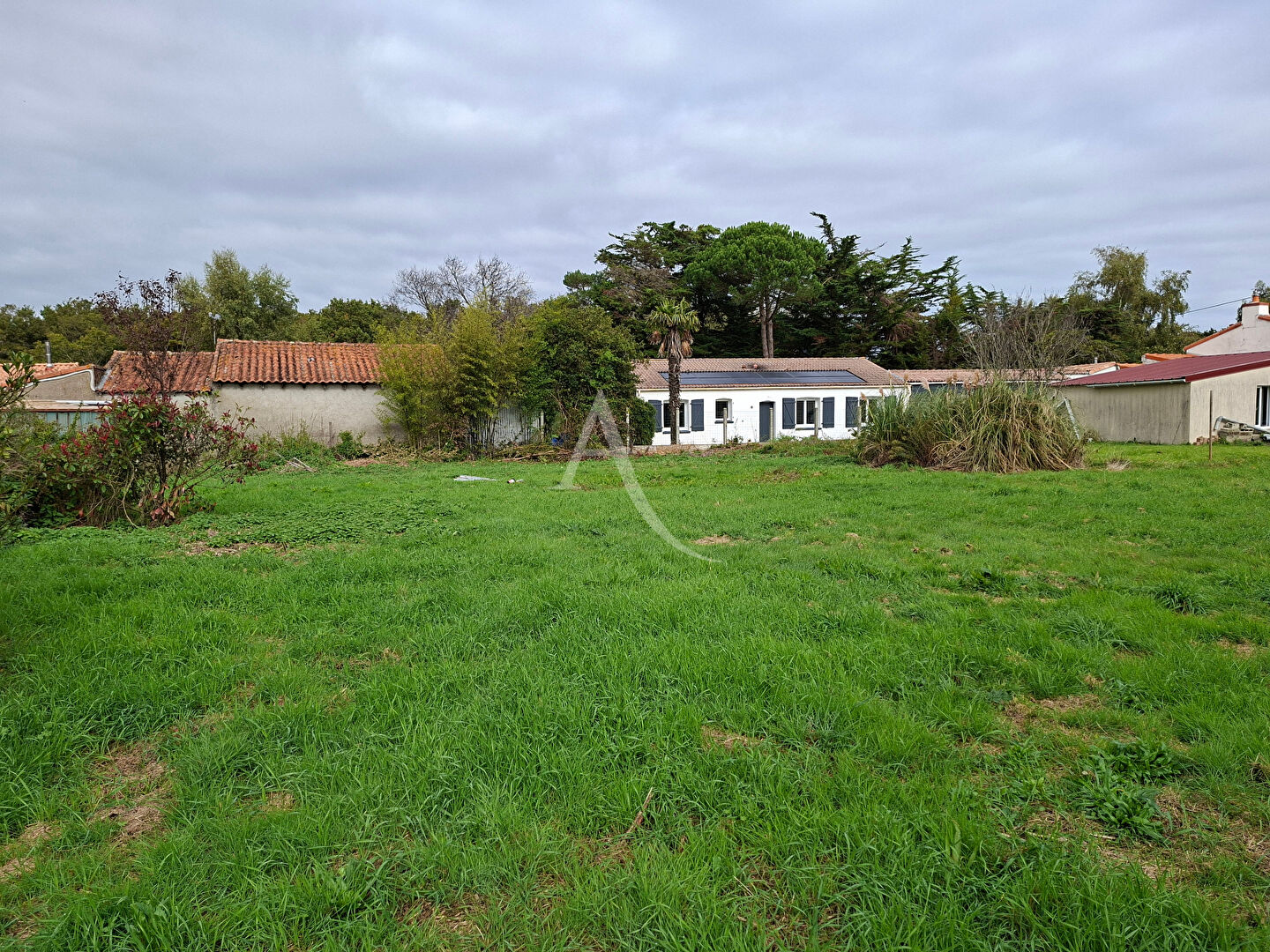 Photo TERRAIN A BATIR ST HILAIRE DE CHALEONS image 4/5