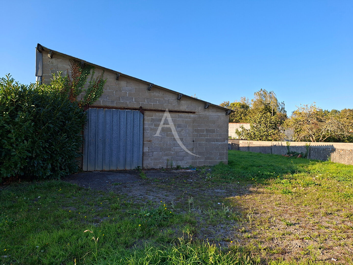 Photo HANGAR image 2/5