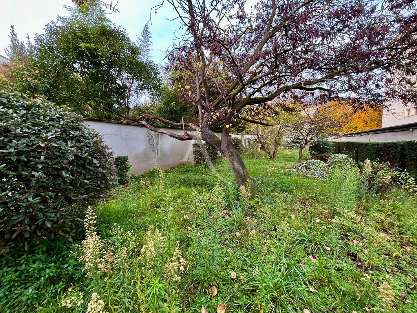 Agence immobilière de L'ADRESSE IMMOGEF ROUBLOT