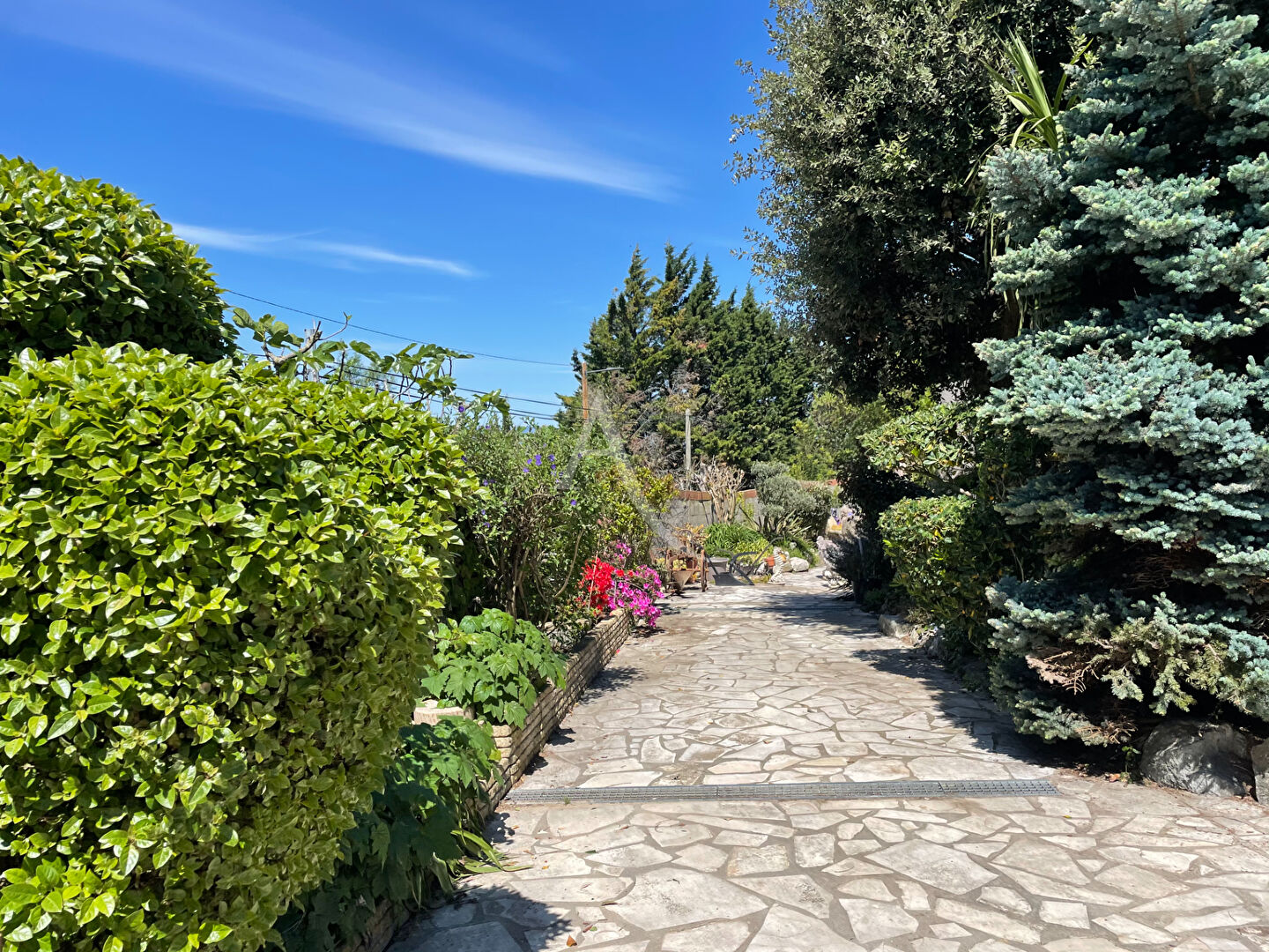 Photo Maison proche de Carcassonne image 2/6